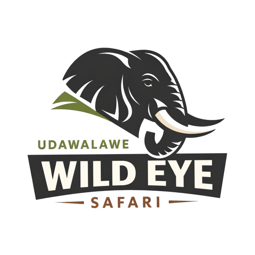 Udawalawa Wild Eye Safari Logo